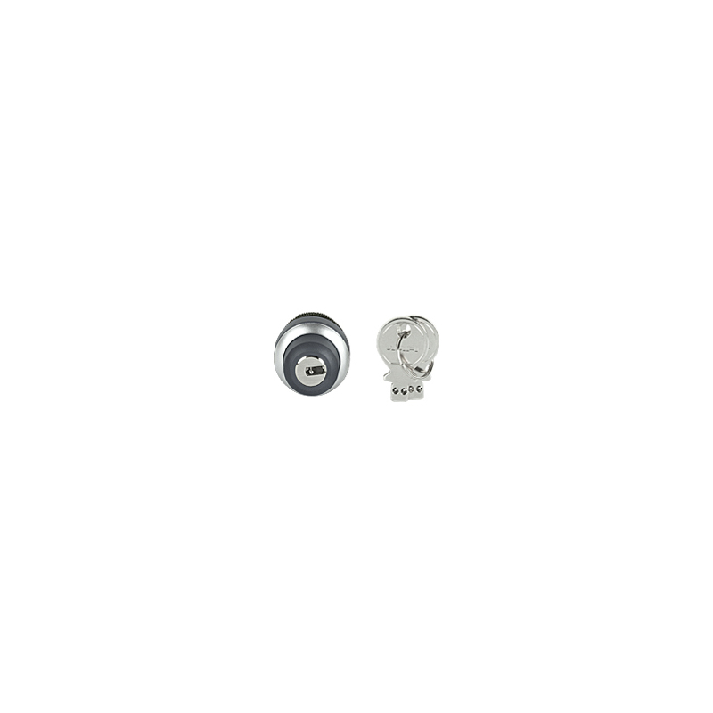 PILZ PIT gb key switch (New)
