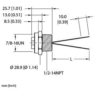 TURCK RK 4.5T-6-RS 4.5T/SV (New)