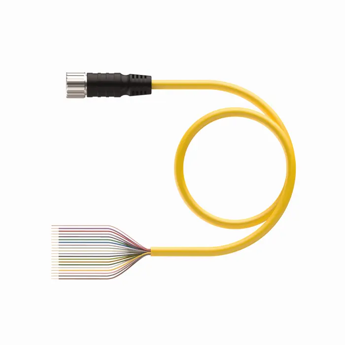 TURCK CKM 19-19-5 (New)