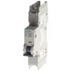 [5SJ4104-7HG41] SIEMENS/EP Automático magnetotérmico 240V 14  (New)